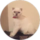 Elif profil fotoğrafı