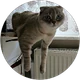Yeliz Gülay profil fotoğrafı