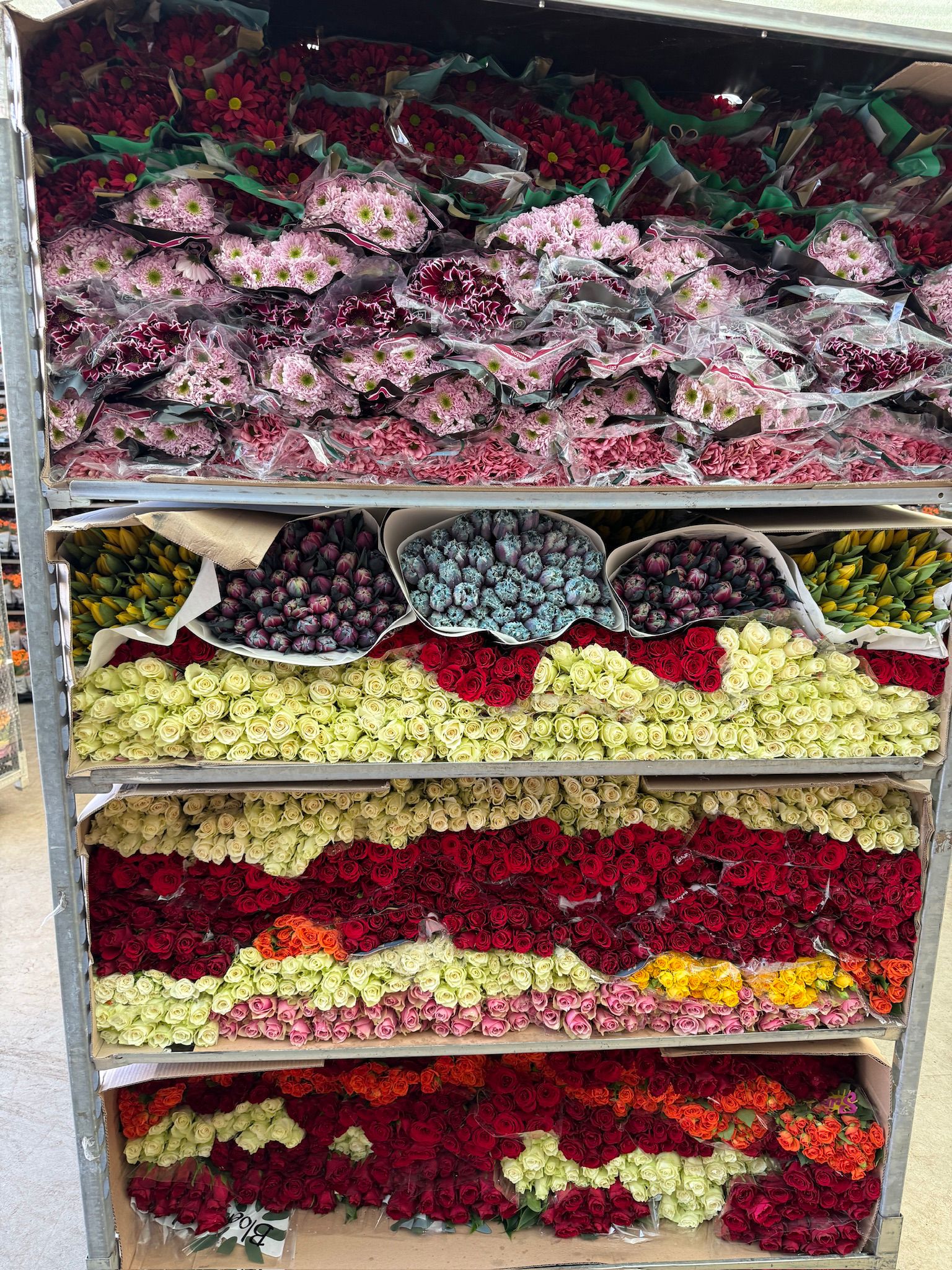Baydemir Florist