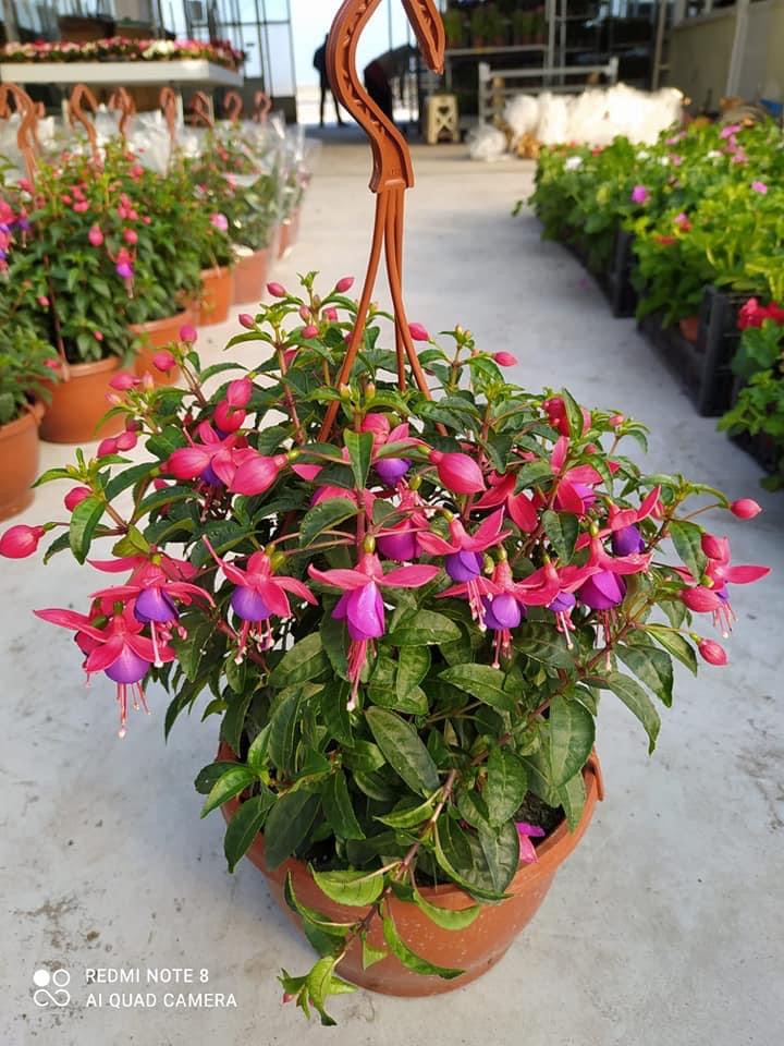 Baydemir Florist