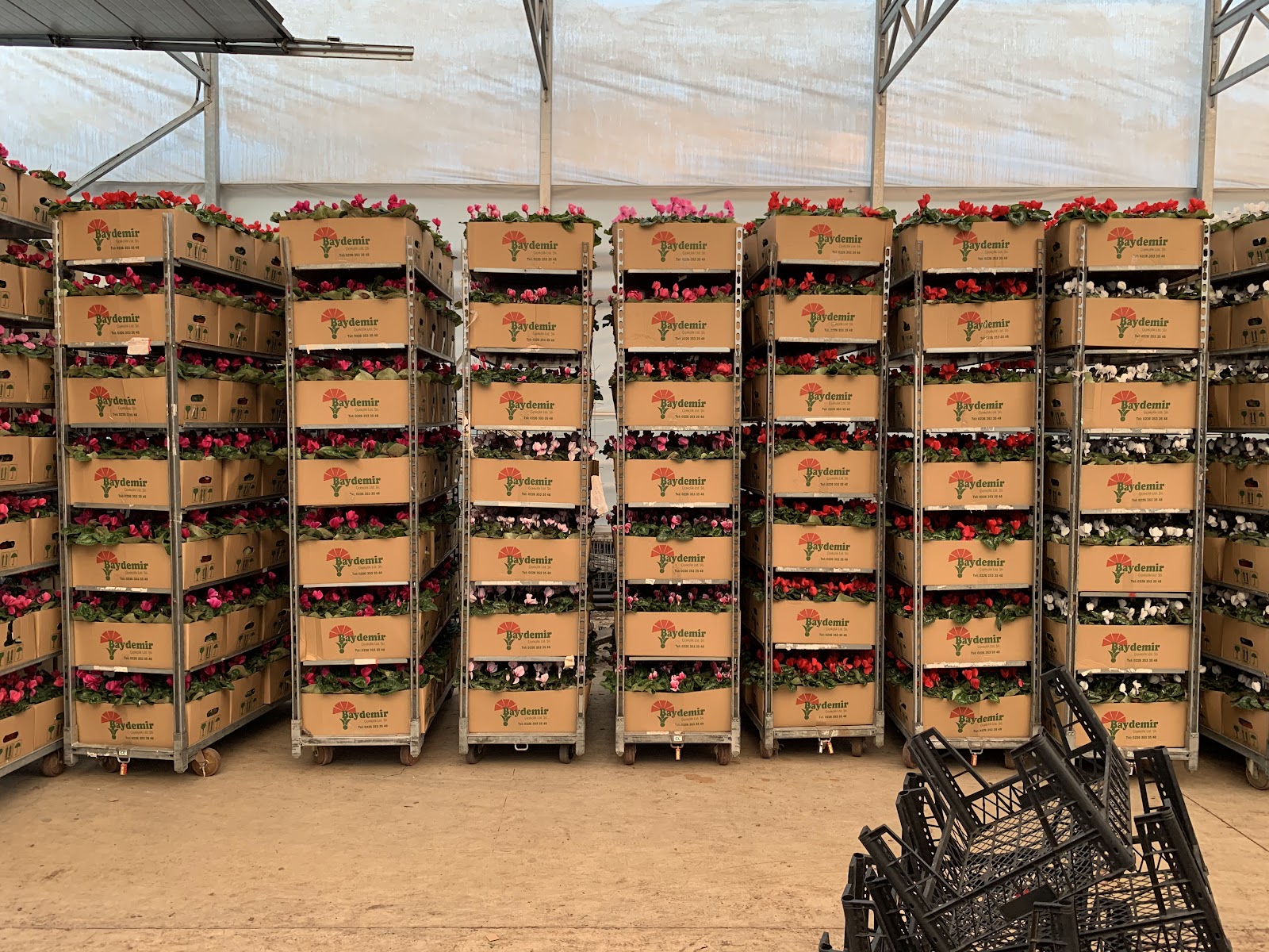 Baydemir Florist kır düğünü mekanı