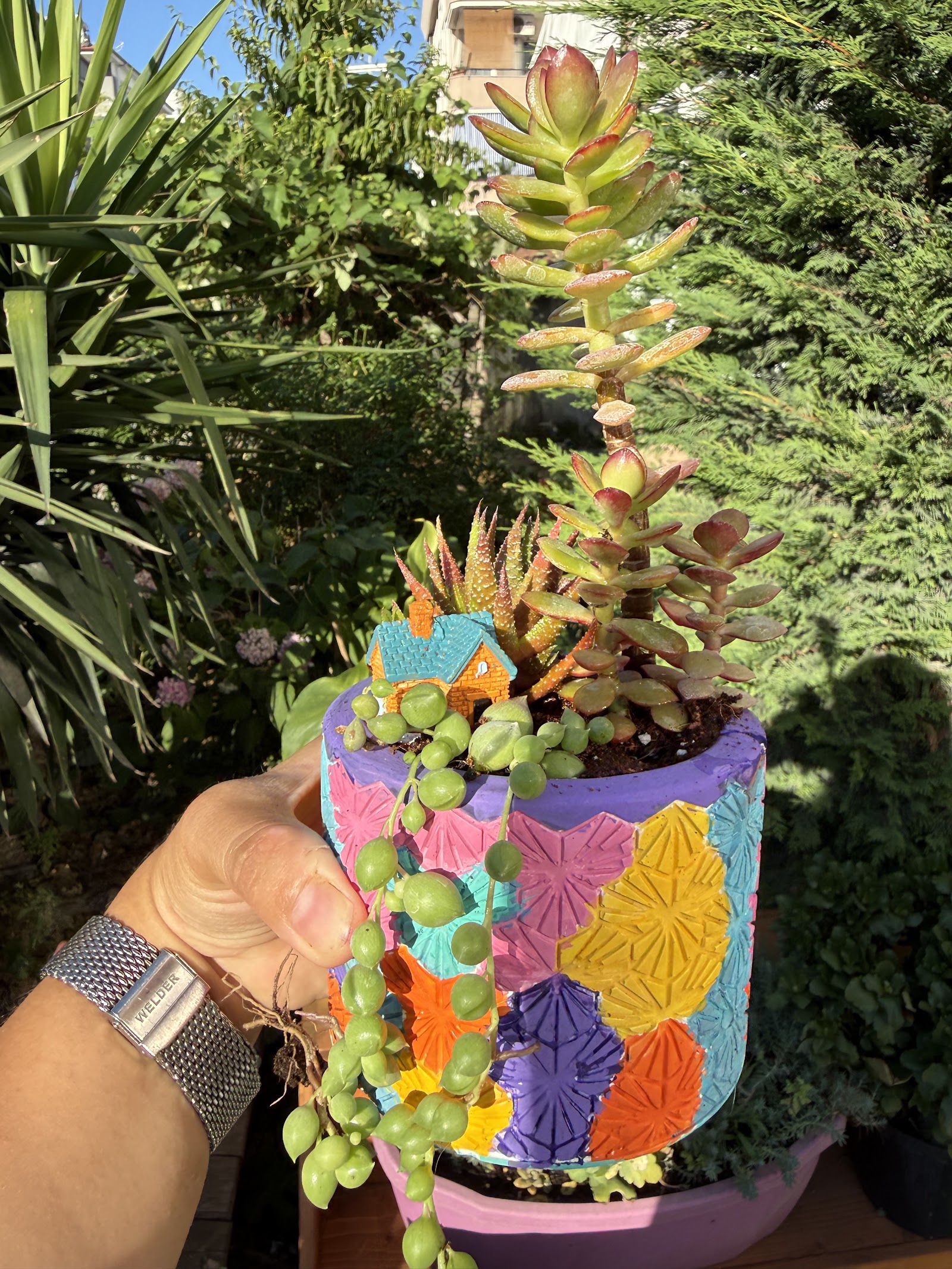 Betül's Flowers