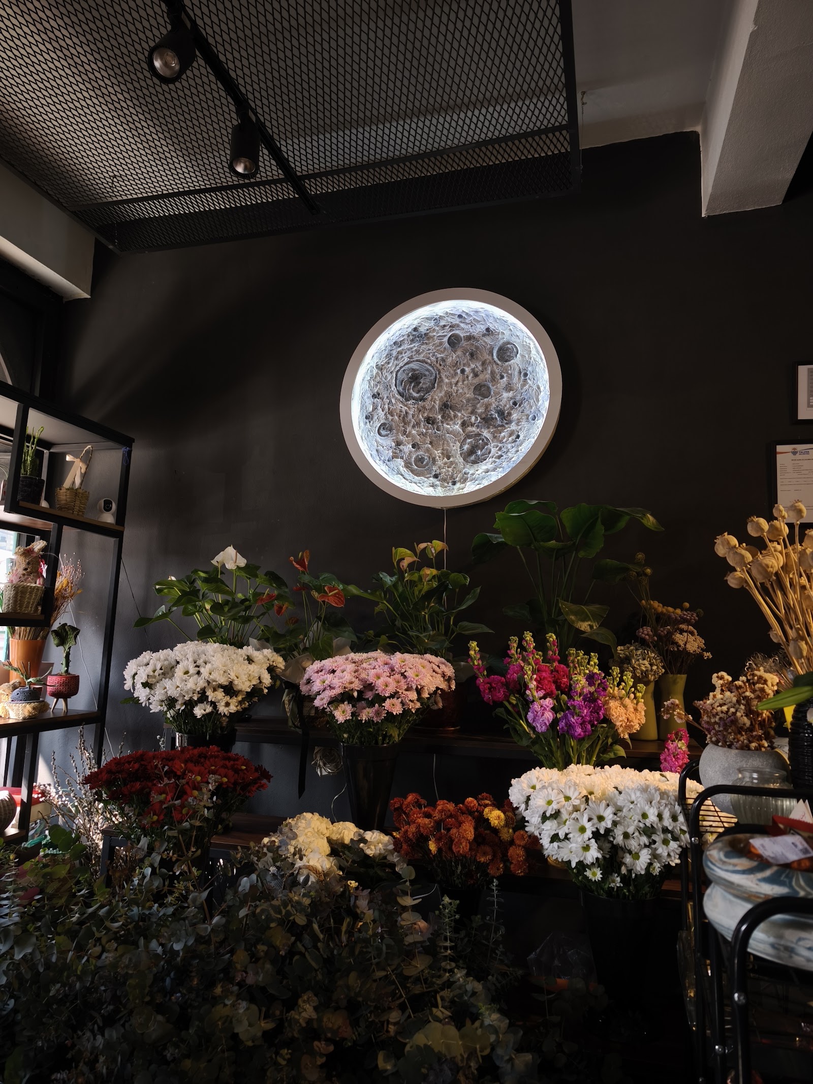 Moon Art Flowers / Çicekçi