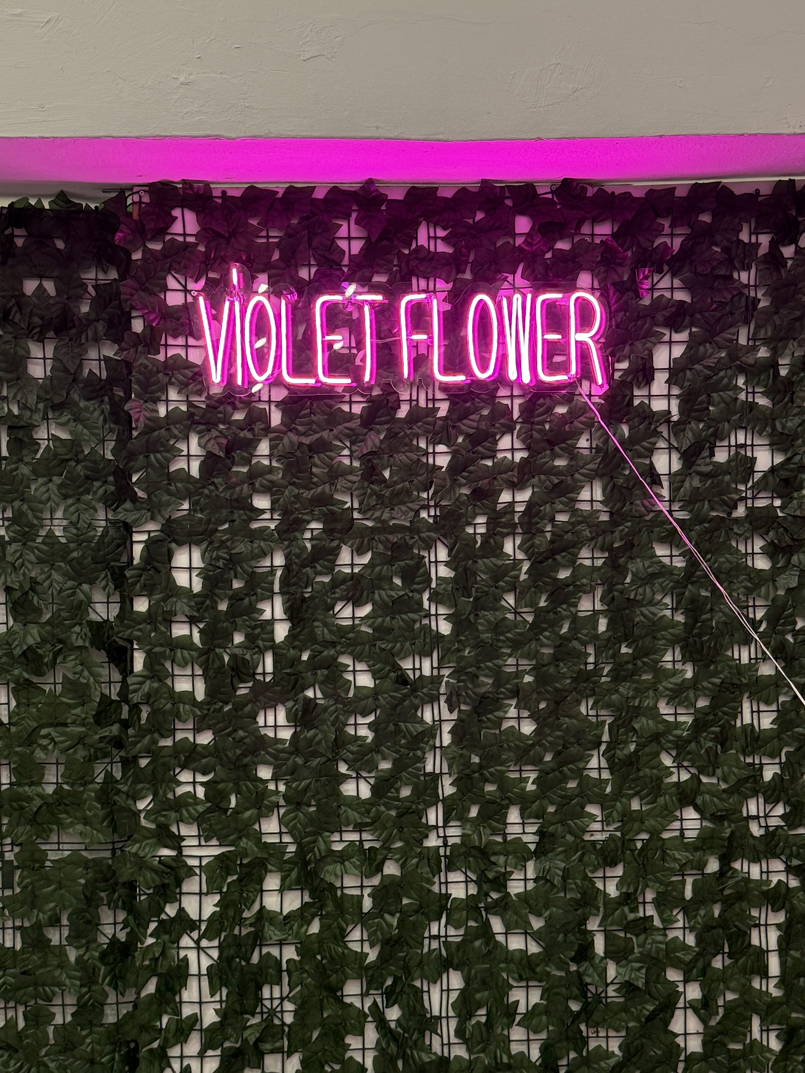 Violet Çiçek Evi