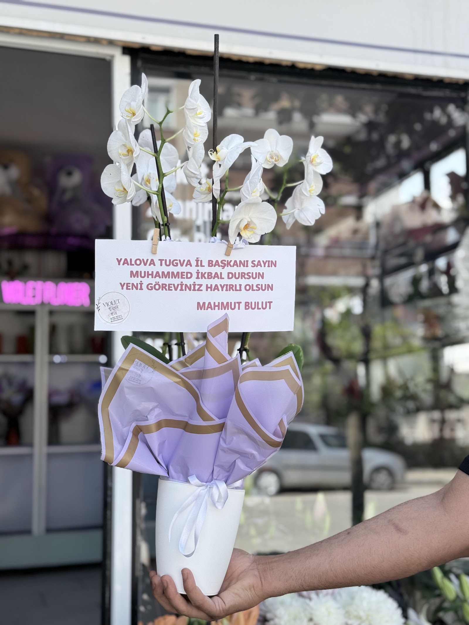 Violet Flower (çiçekçi)