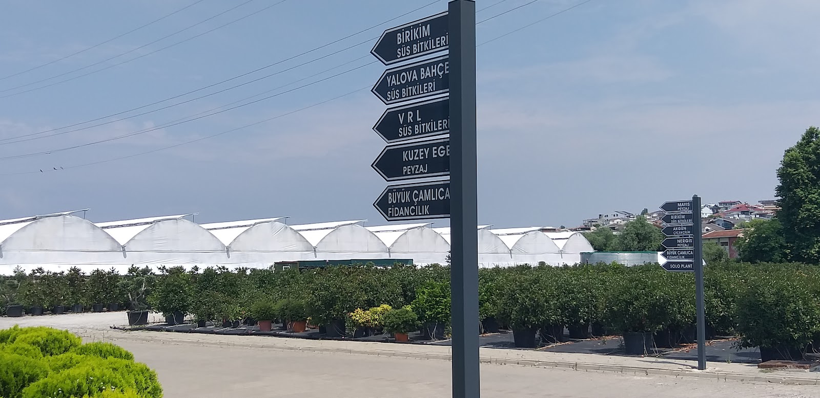 YALOVA GARDEN FOLIAGE PLANTS AGRICULTURE INDUSTRY. VE TIC. Inc.