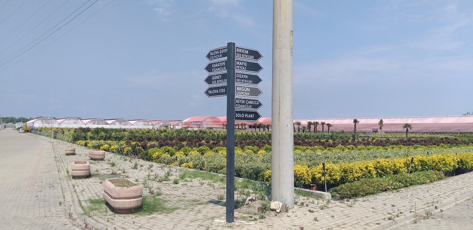 YALOVA GARDEN FOLIAGE PLANTS AGRICULTURE INDUSTRY. VE TIC. Inc.
