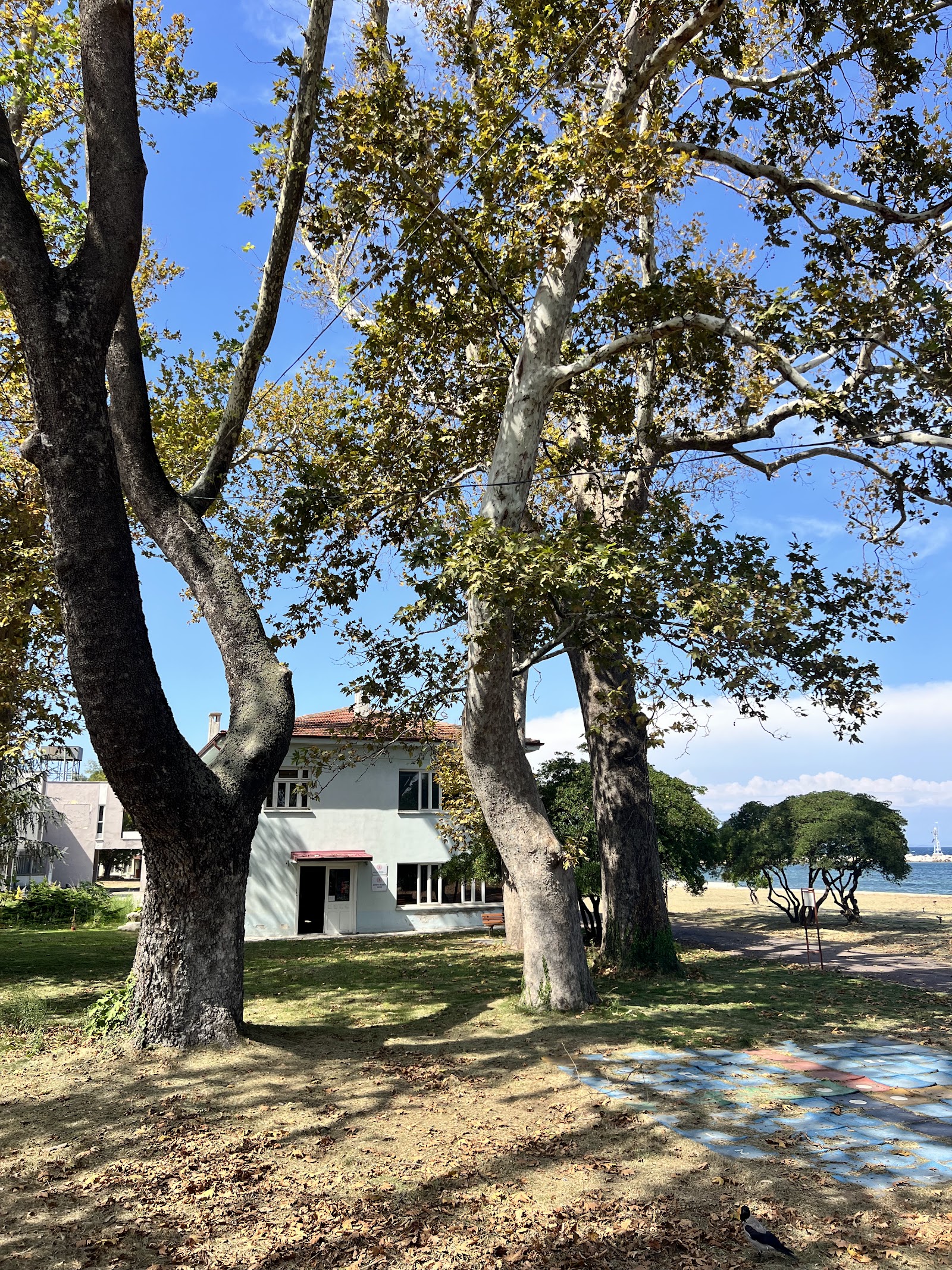 Yalova Garden Folıage Plants Agrıculture Industry. Ve Tıc. Inc. kır düğünü mekanı
