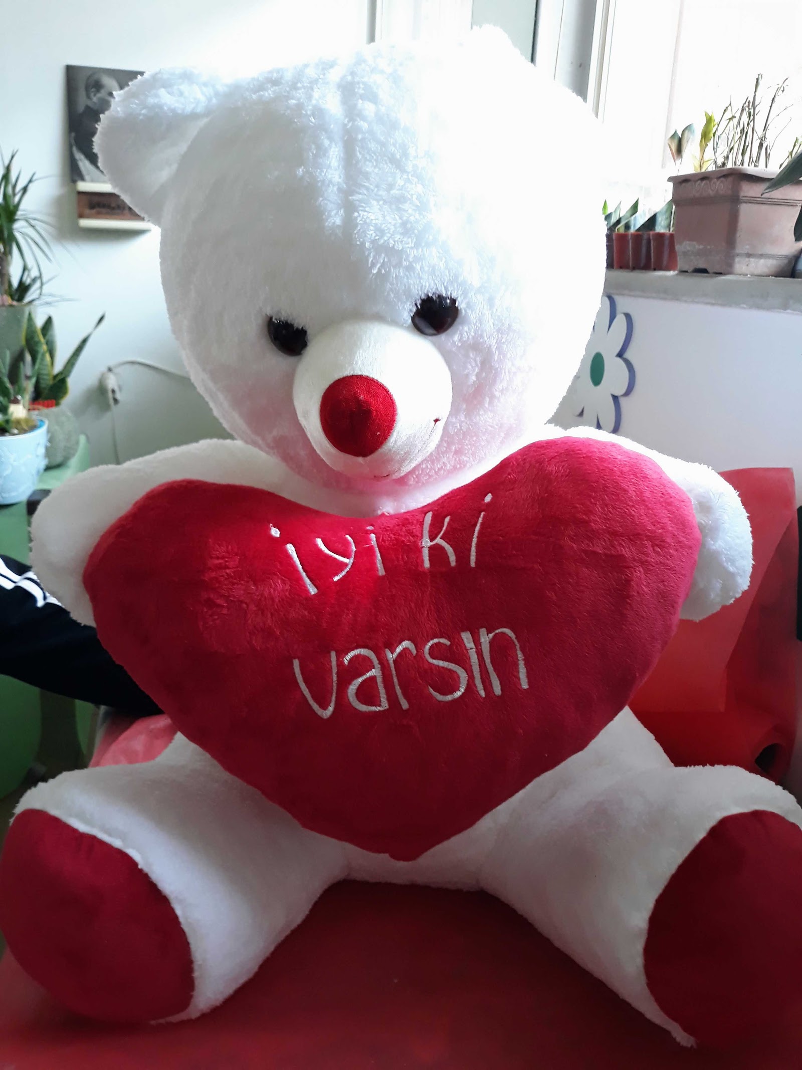 Yonca Cicekcilik