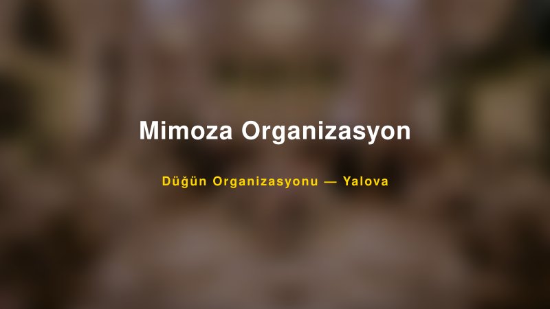 Mimoza Organizasyon — Yalova Kır Düğünü Mekanı Rehberi