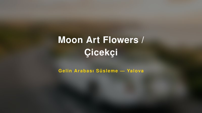 Moon Art Flowers / Çicekçi Gelin Arabası Süsleme Fiyatları