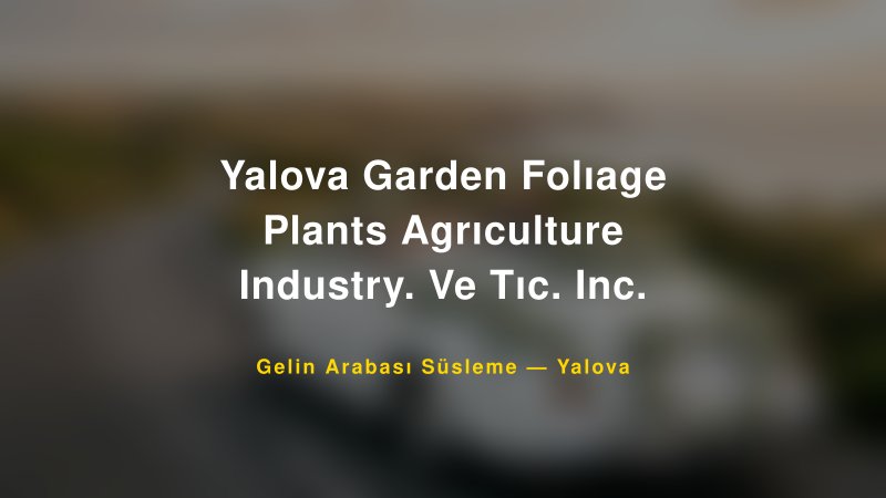 Yalova Garden Folıage Plants Agrıculture Industry. Ve Tıc. Inc. ile Trend Gelin Arabası Yazıları ve Konseptleri — 1