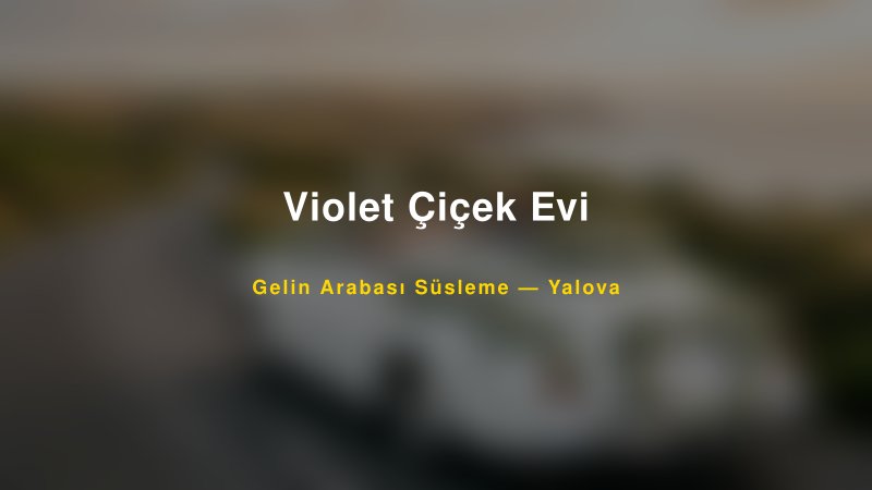 Violet Çiçek Evi Gelin Arabası Süsleme Fiyatları — 1